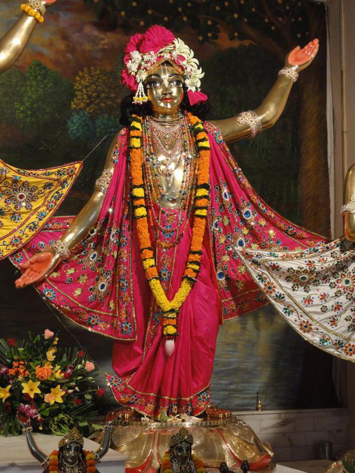 Shrinivasa Acharya 